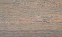 Raw Silk Pink Granite Stone